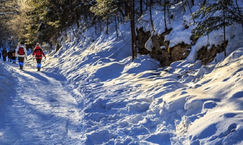 Yangcao-Mountain-Hike-Snow-Town